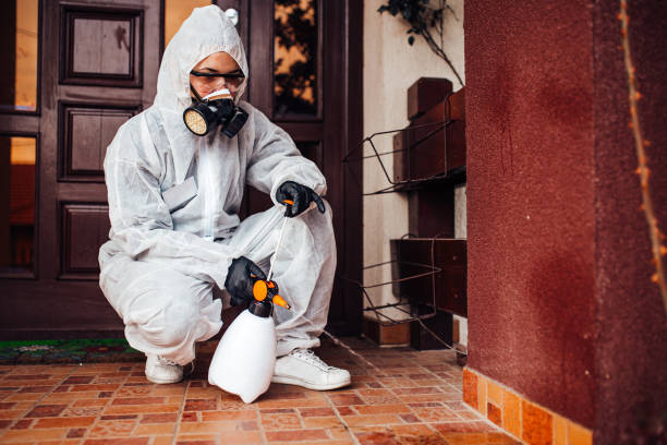 Attic and Crawl Space Rodent Treatment in Maria Stein